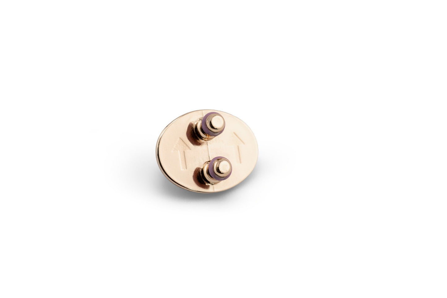 Back view of a charm on a white background